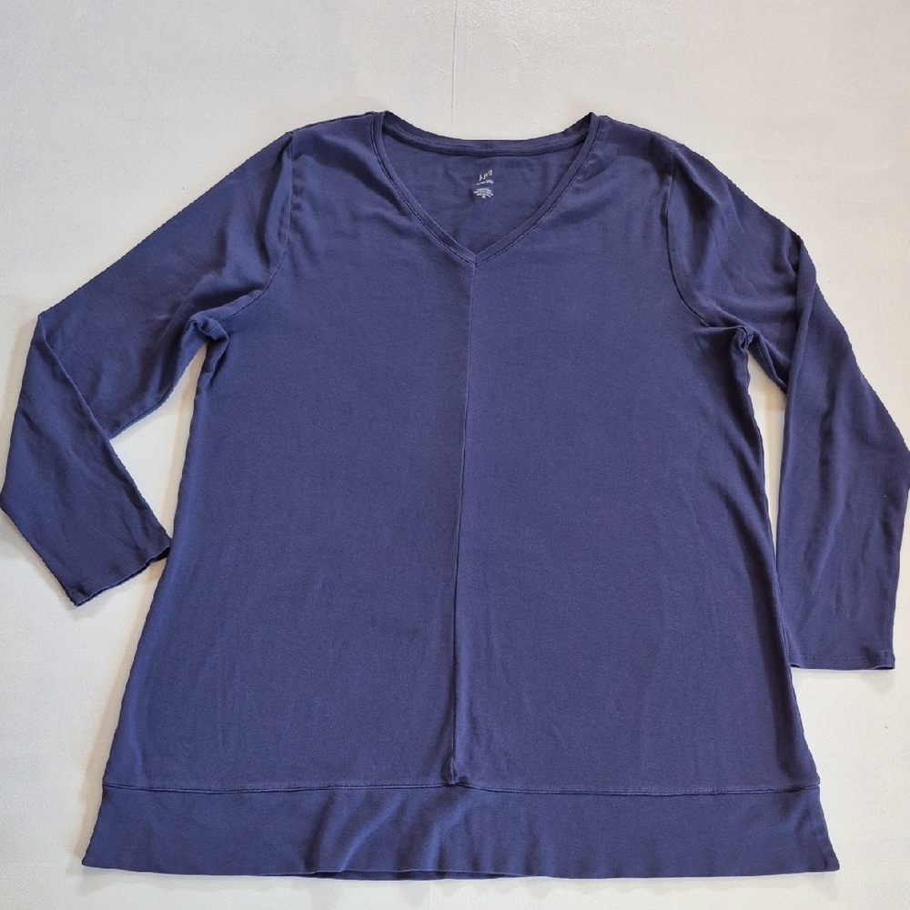 J. Jill Blue Long Sleeve Relaxed Tunic Top